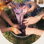 Introduction to Natural Dye Workshop